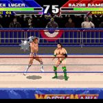 گیم پلی کشتی کج سگا