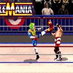 گیم پلی کشتی کج سگا