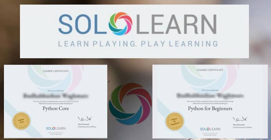 solo learn apk mod