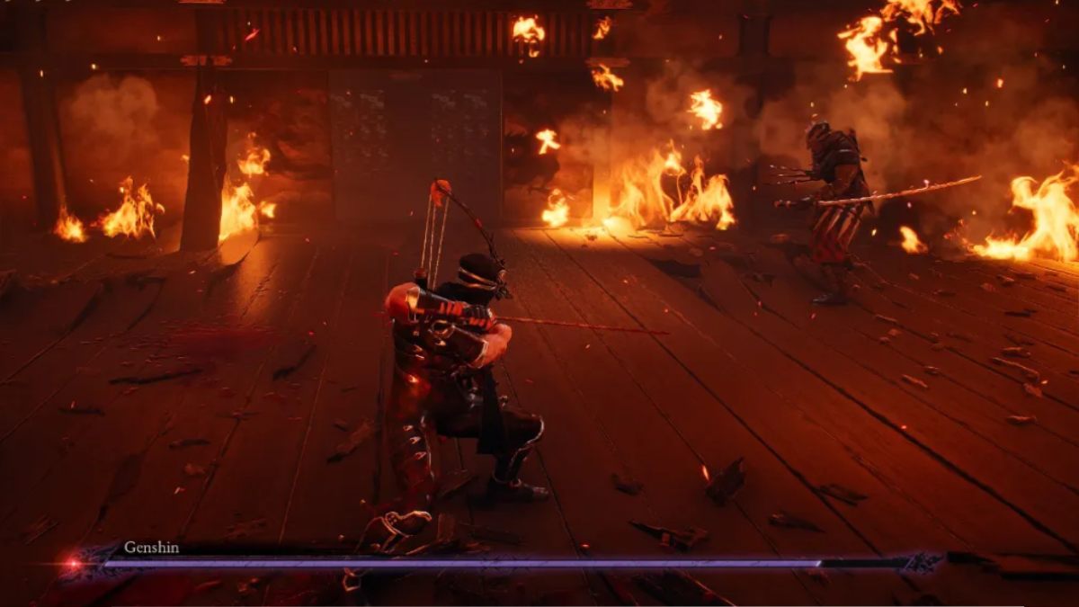 کیفیت Ninja Gaiden 2 Black